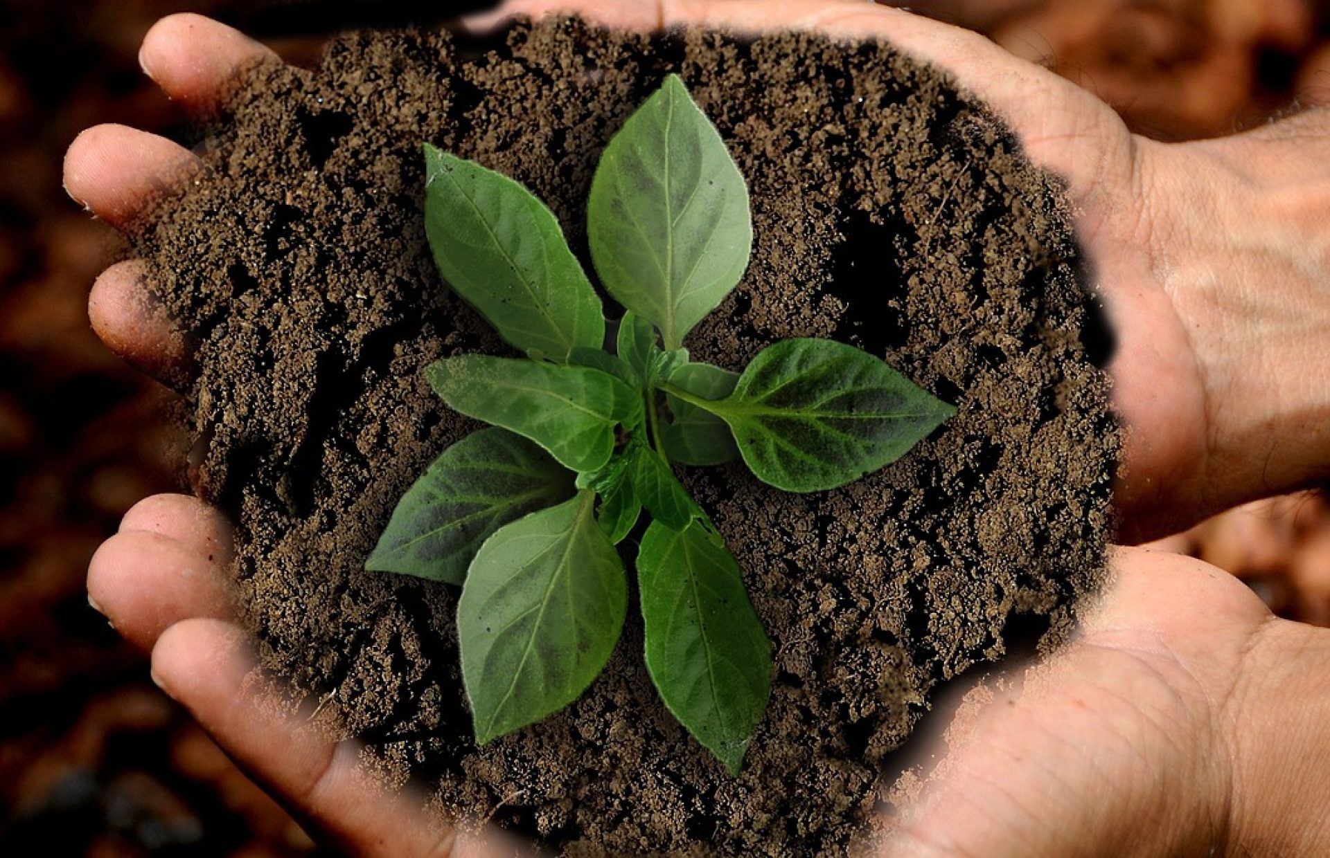 Ook Nederland moet aan de slag met de Natuurherstelwet